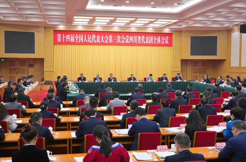 四川代表团举行全体会议 <br>审议大会有关决议草案 <br>王晓晖主持并讲话 施小琳参加