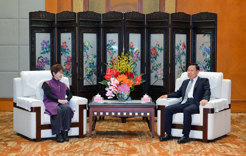 王晓晖会见中国国民党前主席洪秀柱